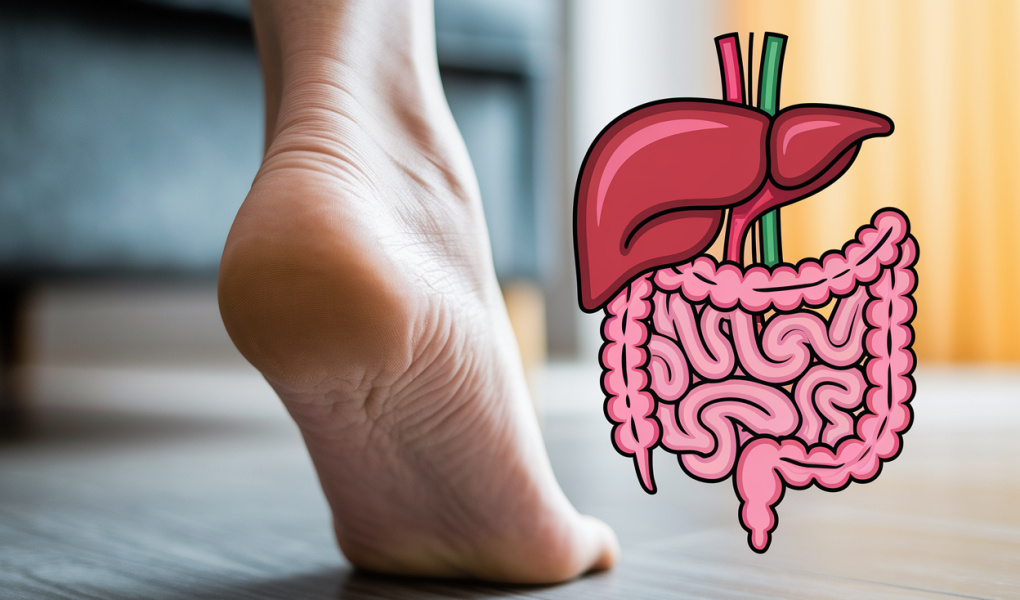 pied-talon-flou-foie-intestins