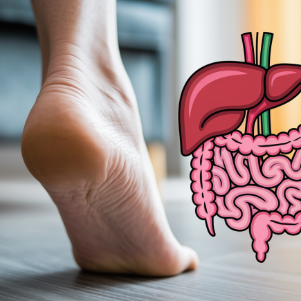 pied-talon-flou-foie-intestins