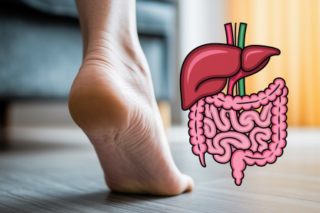 pied-talon-flou-foie-intestins